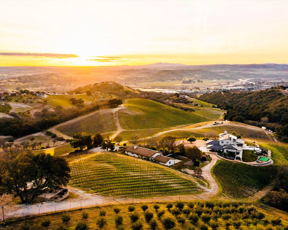 copia vineyards
