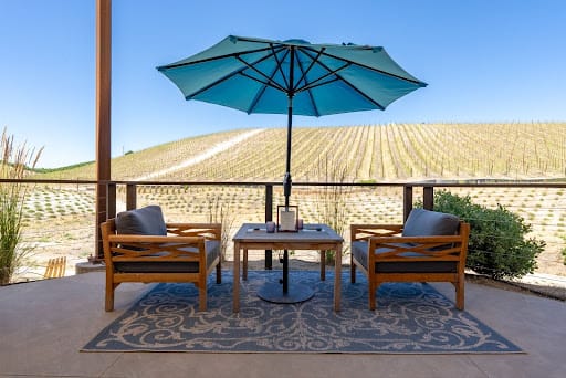 Copia_Vineyard3