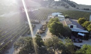 cass winery