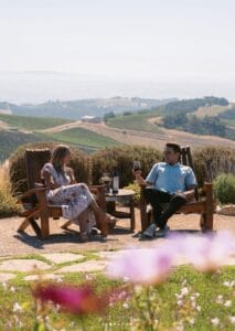 Daou winery