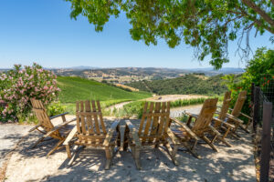 Wooden chairs overlook vineyard and rolling hills view