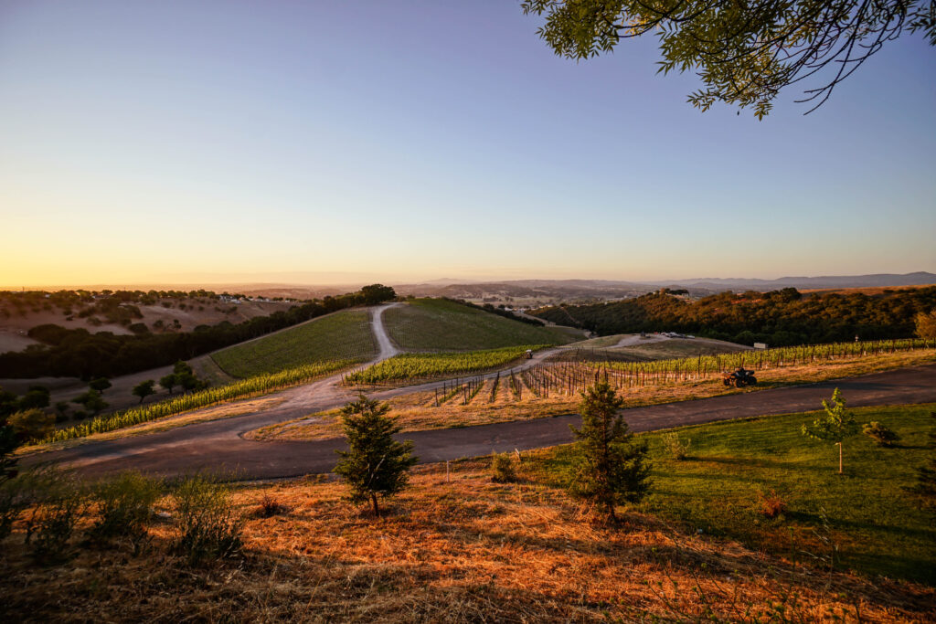 Copia Vineyards_6 Golden hour over rolling vineyard hills and pathways