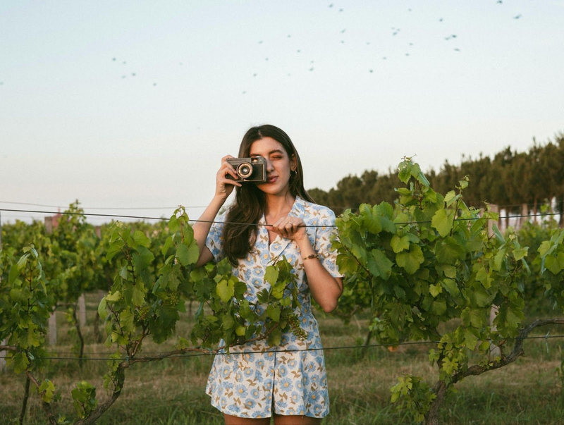 Woman photographing vineyard at Copia Vineyards