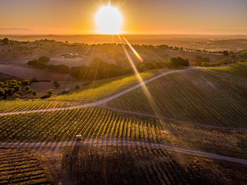 Sunset over rolling vineyards at Copia Vineyards