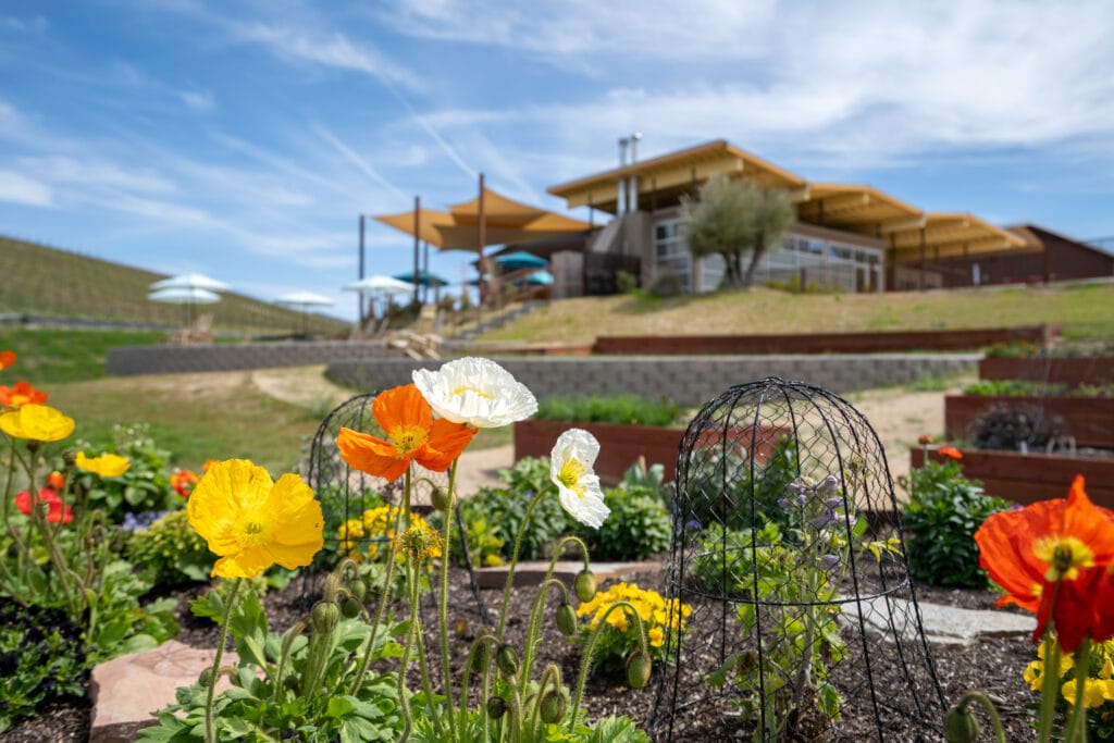 colorful flowers in a garden bed in the foreground with an architectural modern building in the background