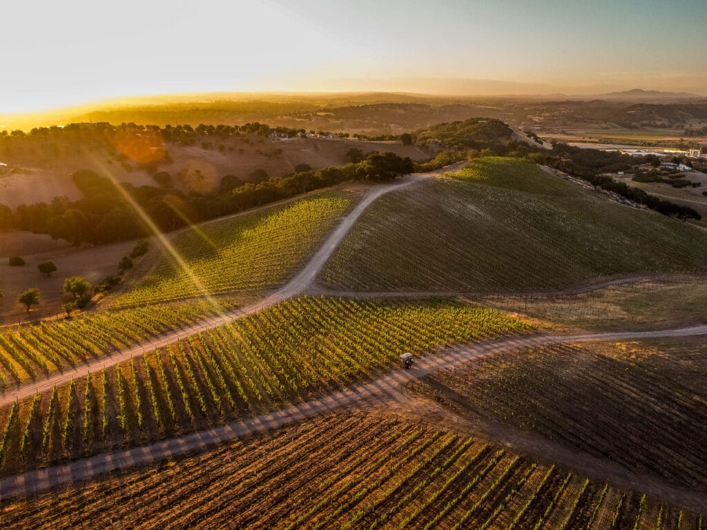 a vineyard with rolling hills at sunrise
