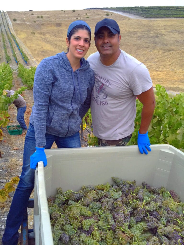 a woman and a man with a large bin of grapes in a vineyard