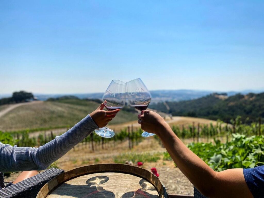 Copia_Vineyards_Winery (1)