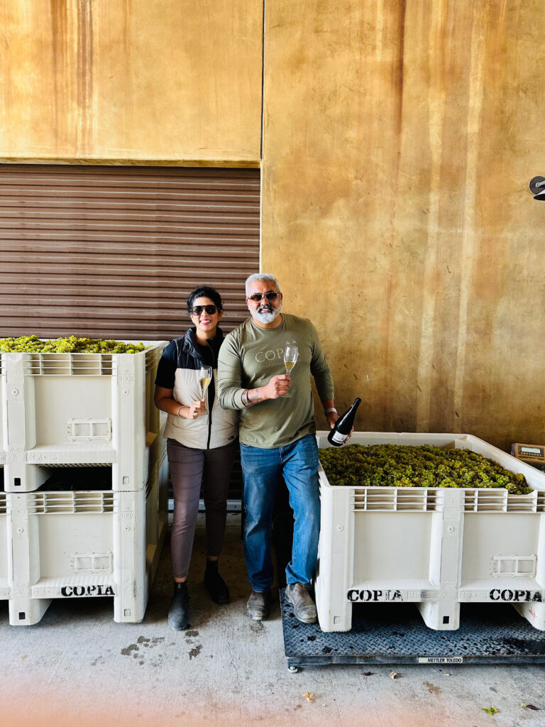 Harvest Season at Copia Vineyards