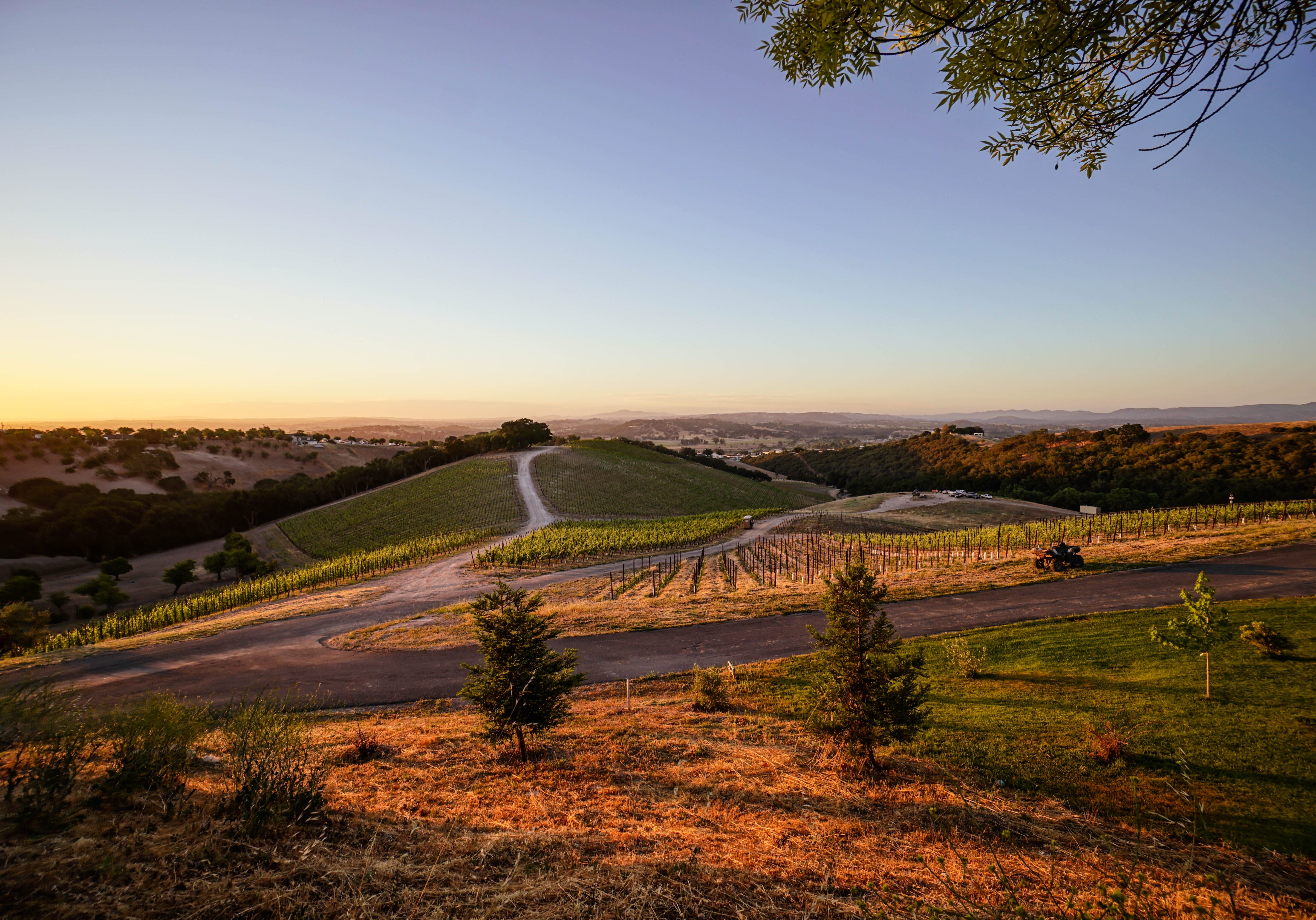 Copia Vineyards_6 Golden hour over rolling vineyard hills and pathways