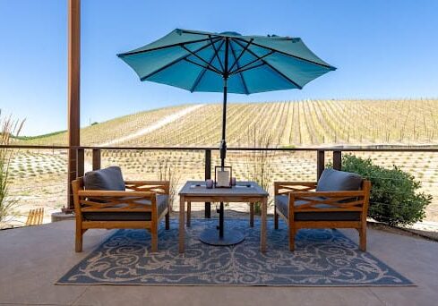 Copia_Vineyard3 Copia_Vineyard3