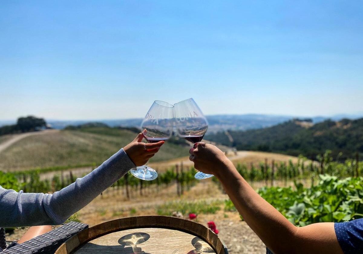 Copia_Vineyards_Winery (1)