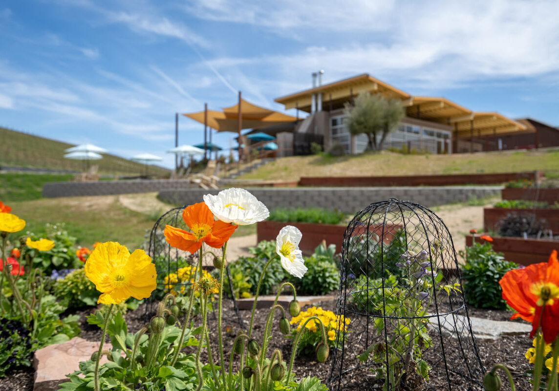 GBP_Copia_Vineyards_and_Winery_Paso_Robles_Winery_sustainability_practices_at_Copia