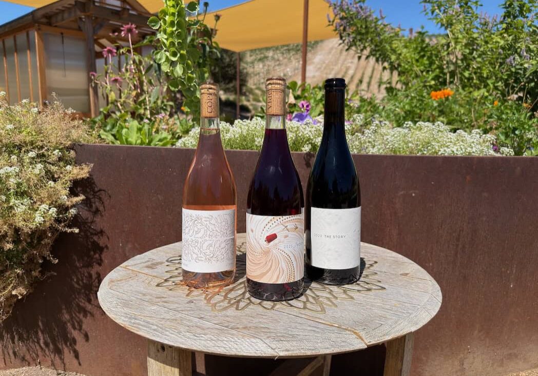 rhone wines