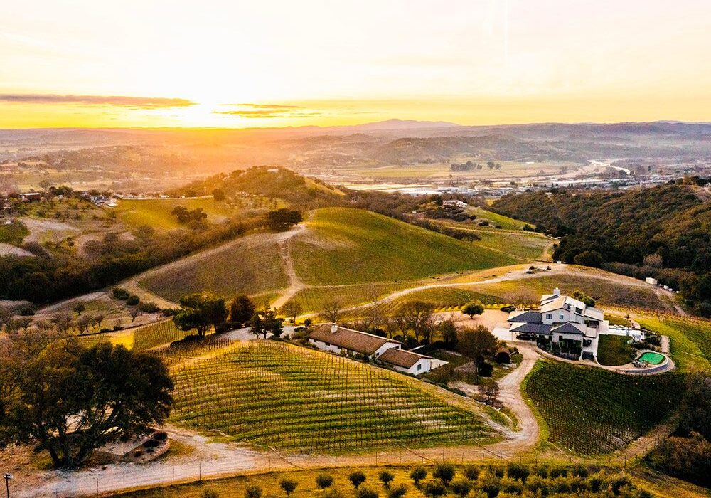 copia vineyards