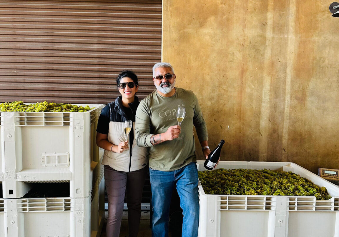 Harvest Season at Copia Vineyards