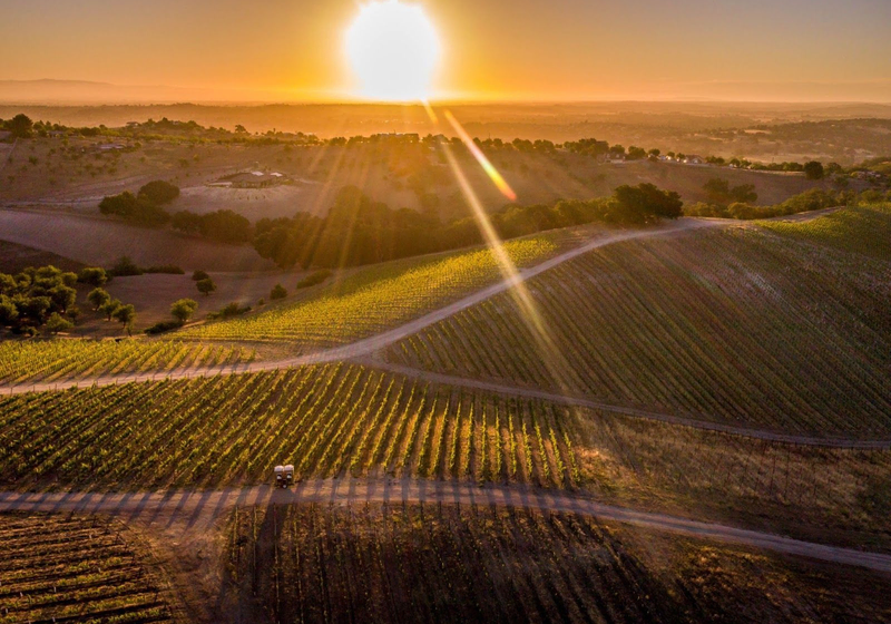 unnamed Sunset over rolling vineyards at Copia Vineyards